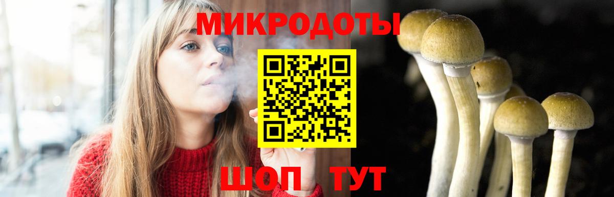 Псилоцибиновые грибы прущие грибы Усинск